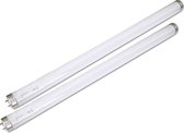 Set van 2 stuks reservelamp voor electrische vliegenvanger - UV Lamp vliegenvanger - 8 Watt-30 cm - Speciaal voor insectenlamp vliegenlamp | Flystopper