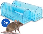 Vivid Green diervriendelijke muizenval - Muizenvallen voor binnen en buiten - Mouse trap - Muizenverjager - 2 stuks - blauw