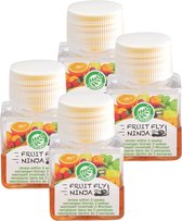Super Ninja - Fruit Fly Ninja® - Fruitvliegjes vanger - 100% natuurlijk en Milieu verantwoordelijk - 4 pack