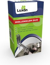 Luxan Mollenklem Duo