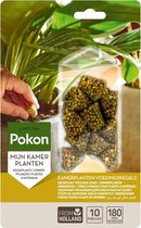 Pokon Kamerplanten Voedingskegels - 10st - Plantenvoeding - 6 maanden voeding