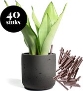 Meststaafjes (40 stuks) - Universele plantenvoeding - Voor groene & bloeiende planten - Planten bemesten - Meststokjes, plantenvoedingstaafjes, plantenstaafjes