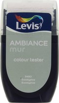 Levis Ambiance - Kleurtester - Mat - Eucalyptus - 0.03L