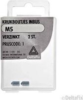 Kruk boutjes Inbus M5 2 stuks