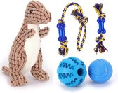 Nobleza honden speelgoed set - 5 stuks