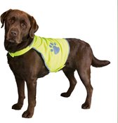 EIZOOKSHOP Reflecterende honden rug veiligheidshesje - veilig - X-large