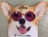 Dieren Bril - Zonnebril voor katten en honden - zonnenbril - sunglasses - sunglasses for a dog or cat - Huisdier Zonnebril - honden bril - katten bril -