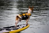 EzyDog Micro - Hondenzwemvest - Speciaal voor kleine honden onder 7 kg - Reflecterend - Maat XS - Geel