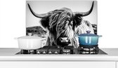 Spatscherm Keuken - Kookplaat Achterwand - Spatwand Fornuis - 60x40 cm - Koe - Schotse hooglander - Zwart - Wit - Aluminium - Wanddecoratie