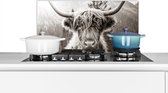 Spatscherm Keuken - Kookplaat Achterwand - Spatwand Fornuis - 60x30 cm - Koe - Schotse Hooglander - Zwart - Wit - Aluminium - Wanddecoratie