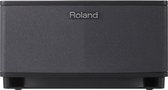 Roland CUBE Lite 2.1 Zwart audio versterker