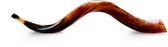 Shofar | Sjofar | 55CM