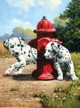Schilderen op nummer - Paint by numbers - Dalmatier honden bij brandkraan 22x30cm - Schilderen op nummer volwassenen - Paint by numbers volwassenen