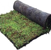 Groen Dak Compleet Sedummixmat (5 stuks)