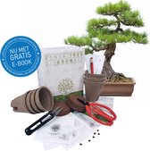 Bonsai Starters Kit - Bonsai Boompje - Potjes - Schaar - Zaden - incl. Bonsai Boek (e-book) - Cadeau Voor Man & Vrouw - Geschenkset