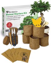 Qubis Bonsai Starters Kit - 23 Delige Kweekset - 5 Soorten Premium Zaden - DIY Pakket - Binnen Boompje Kweken -  Incl. Rouwvliegjes Vanger