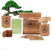 Bonsai Boompje Starters Kit met Zaden – Gereedschap – Schaar – Kweekset – Pot – Valentijn Cadeautje voor Hem en Haar – Inclusief Handleiding