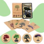 B-seed Zaden Set Incl. e-Book Bonsai Zaden Kweken - Boompje in Pot - Kamerplanten - Kweekset – Cadeau Man & Vrouw - Geschenkset