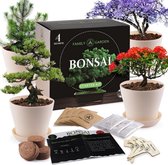 Mi Botanica - Bonsai Starter Kit - Bonsai Boompje - 4 Soorten Boomzaden - Incl. Handleiding