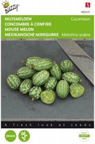 Buzzy zaden - Cucamelons muismeloen 20 zaden