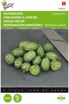 Buzzy zaden - Cucamelons muismeloen 20 zaden