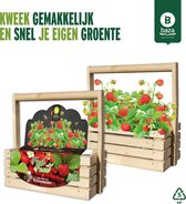 Complete kweekset Fresh Farm Aardbei gemaakt van FSC hout