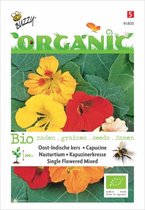 Buzzy® Organic Oost-Indische kers hoge gemengd (BIO)