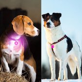 Professor Q - Verlichting Hond - Led Lampje Honden - Lampje Hondenhalsband - Honden Lampje Halsband - Hondenlampje - Roze