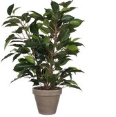 Mica Decorations Ficus Natasja Kunstplant in Bloempot Stan - H40 x Ø30 cm - Groen