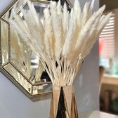 Pampas Pluimen Wit – Natuurlijke Tint - 25 stuks – Pampas Gras – 70 cm – Droogbloemen – Cortaderia – Droogbloemen Boeket – Pampasgras - Decoratie