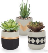 Gadgy Kunstplanten voor Binnen - 3 stuks - Kunst Vetplantjes in Stenen Pot - Nepplant - 13 tot 16 cm