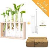 Stekstation met 5+1 reageerbuisjes - hout - met borsteltje en ophangsysteem | stek station - vaasjes - glaasjes - set - hydroponie - hydrocultuur - stekjes - droogbloemen