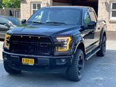 FORD F150 FENDER FLARES