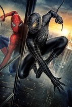 Poster Spiderman Black