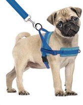 Hondentuigje - voor hele kleine hondjes - blauw - maat S - no pull - reflecterend - super zacht fleece