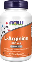 L-Arginine 500mg (250) Standard