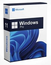 Microsoft Windows 11 Pro Microsoft Key