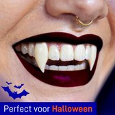 MikaMax Vampiertanden Pro - Vampire Fangs - Ontwikkeld Door Tandheelkundigen - Herbruikbaar - Gemakkelijk Bijvijlen of -Knippen - Incl. Hypoallergene Lijm + Leuke Bewaardoos