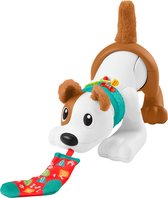 Fisher-Price Kruip met Puppy - Babyspeelgoed met Licht en Geluid