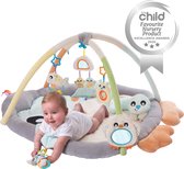 Playgro Snuggle Me Penguin Tummy Time Gym - Babygym Met Buikligkussen - speelkleed - speeltapijt