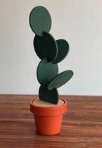 O.N. der Zetter - Onderzetters Voor Glazen - Cactus - 7 stuks - Met Houder - Rond - Groen - Kurk - Waterafstotend - Uniek - Housewarming - Decoratie - Coasters - Afscheid - Verjaardag - Kado - Man Vrouw -Cadeau Duurzaam Geschenk - Sinterklaas 20 euro