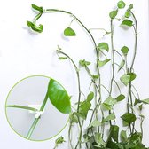 Zelfklevende plantenclips voor aan de muur - 40 stuks - Transparant - Voor binnengebruik