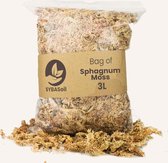 Sphagnum mos  3L