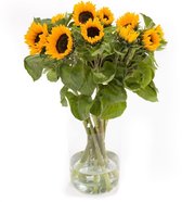 Zonnebloemen - Boeket Zonnebloemen - 10 stelen