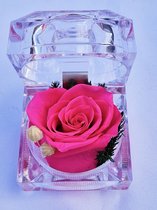 Lukana® Ringdoos met een echte Roos - Ringendoos - Kleur Roos: Roze - Aanzoek - Tot 3 jaar goed! - Echte Roos - Roos in Glas - Roos - Valentijn - Roos in Glas - Huwelijk – Decoratief - Bewaarde Rozen