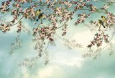 Fotobehang - Sakura - Wandbekleding - Bloemen - Natuur - Woonkamer - Slaapkamer - Komar - 368x254cm