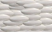 Premium Sepia 2 kg ca. 200 stuks
