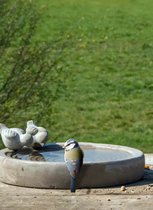 Koopgids: Dit is het beste vogelbadjes