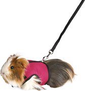 Trixie softtuig met riem cavia Roze 18-25 cm / 120 cm