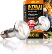 Exo terra Basking Spot Lamp - Terrarium Verlichting - 25W